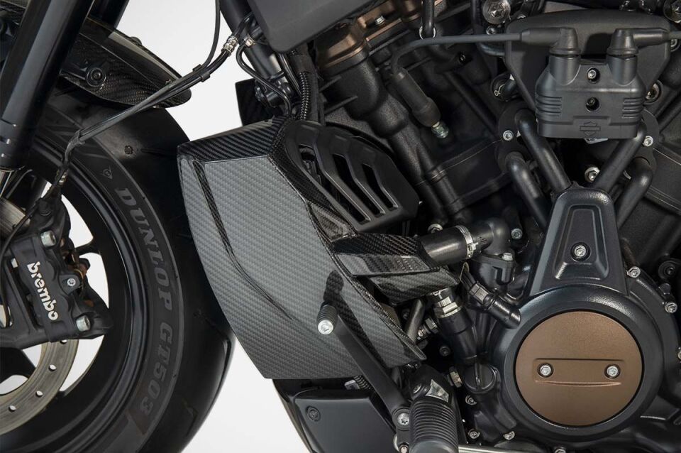 SPORTSTER S |  YAN&ARKA KAPAMALAR + RADYATOR KAPAK  (21-26)